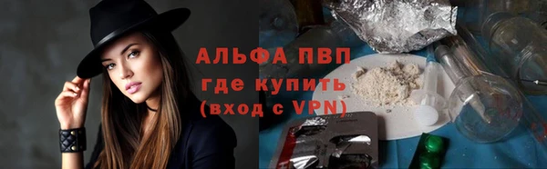 СК Белокуриха