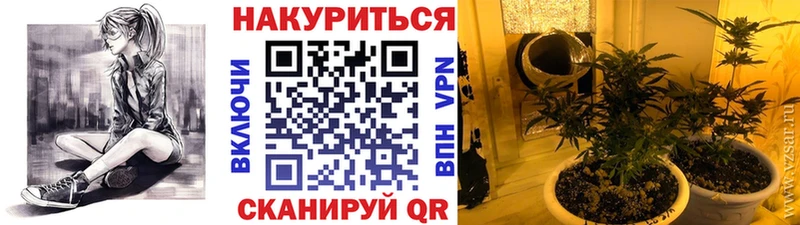 Бошки Шишки планчик  Облучье 